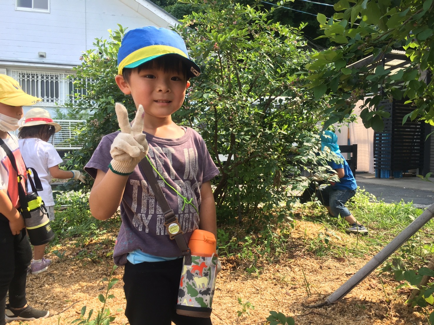 7/12（日）幼児対象どろんこツアー！採って作って学ぶ食育ツアー！旬のブルーベリーでピザづくりに挑戦！in東広島