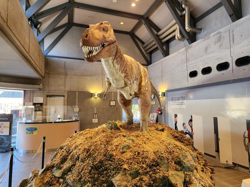 【3月春休み！】小学生対象２泊３日　キッズ科学号in四国高知