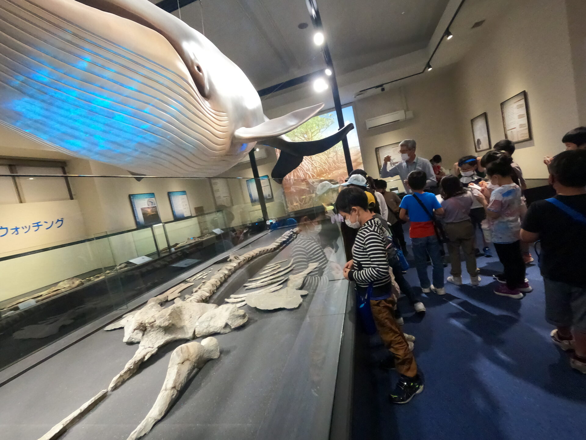 【4/20から受付開始】5/31(日)日帰りキッズ科学号in世羅&庄原