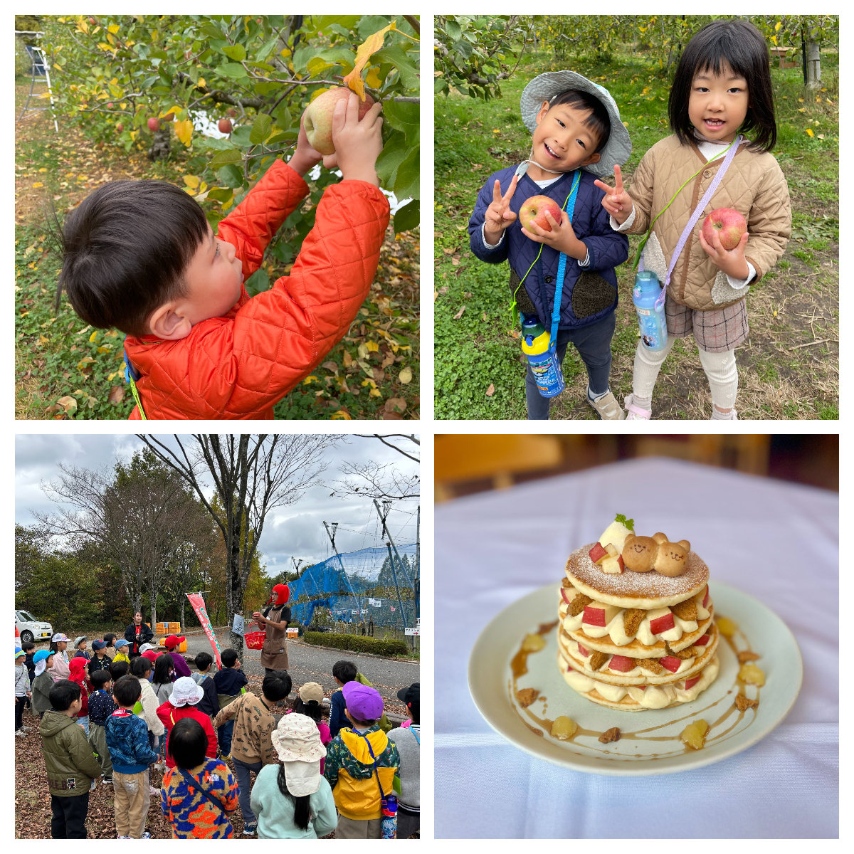 【幼児対象】11/9（日）どろんこツアー　「秋の味覚！りんごを採って・作って・飾って！りんごのツリーアートクッキング★」in三原