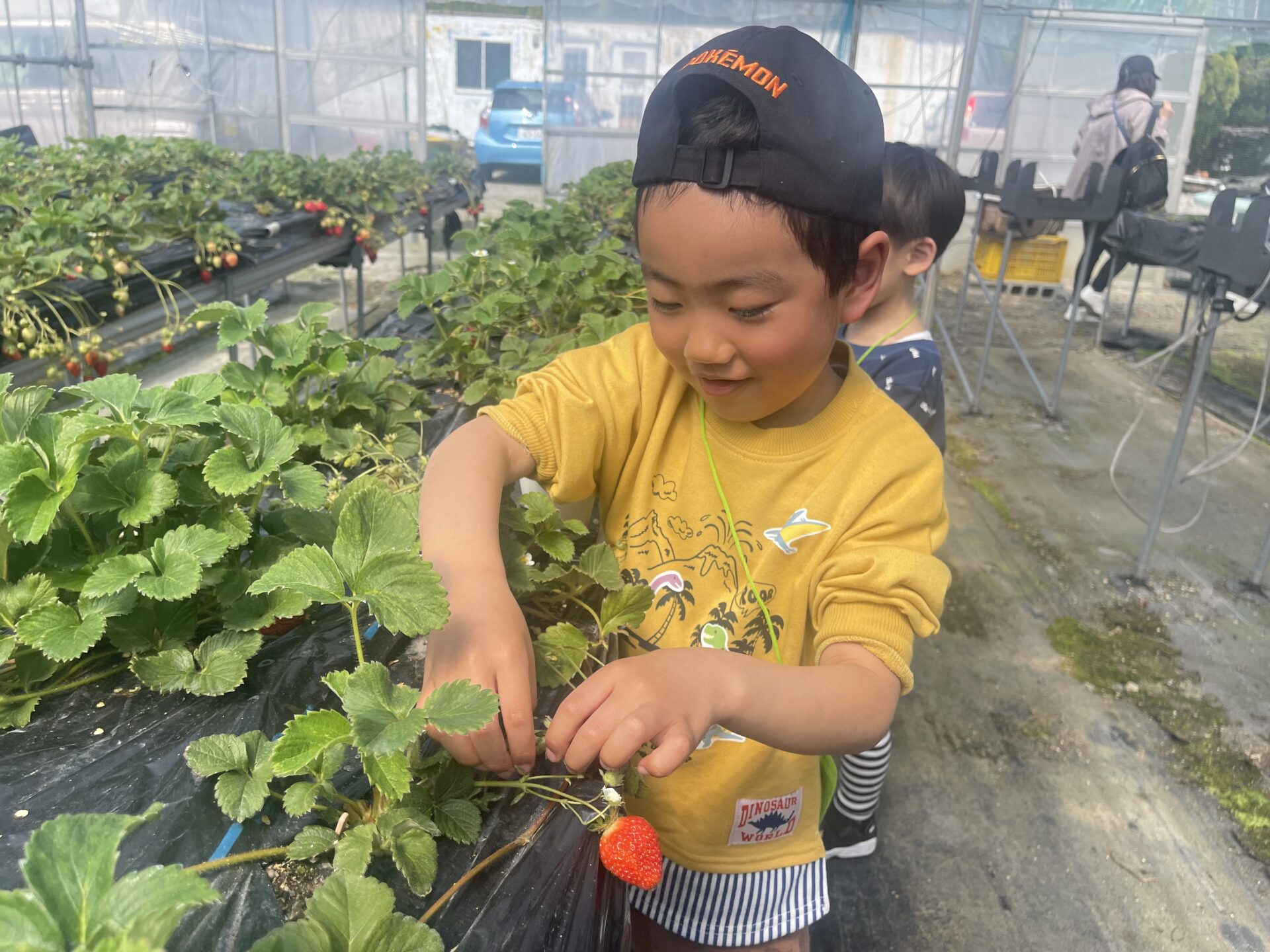 【幼児対象】3/22（日）どろんこツアー　春の味覚！いちご狩り＆動物ふれあい体験！　in豊平