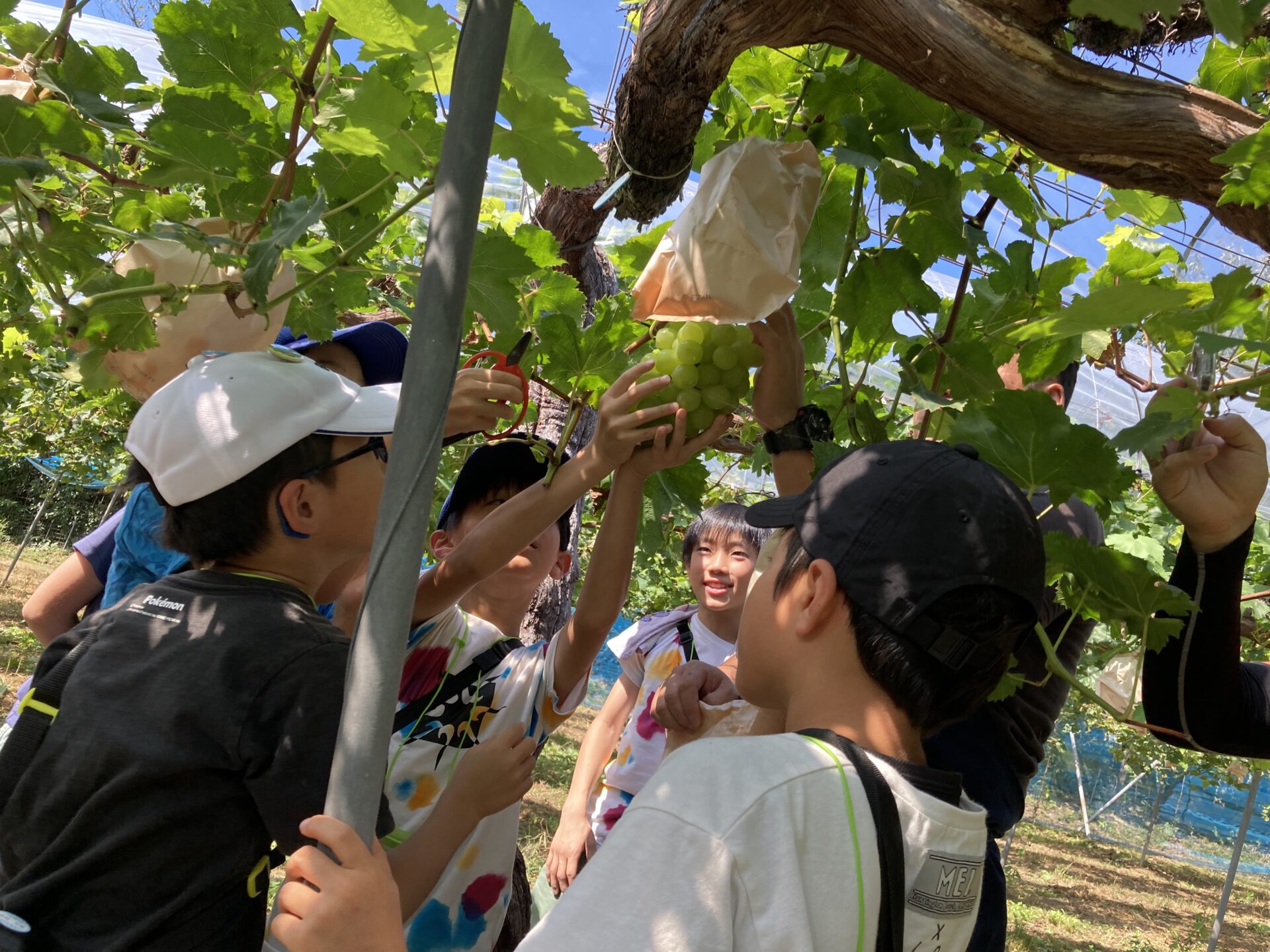 【9/6（日）日帰り】キッズ科学号in倉敷＜小学生対象＞